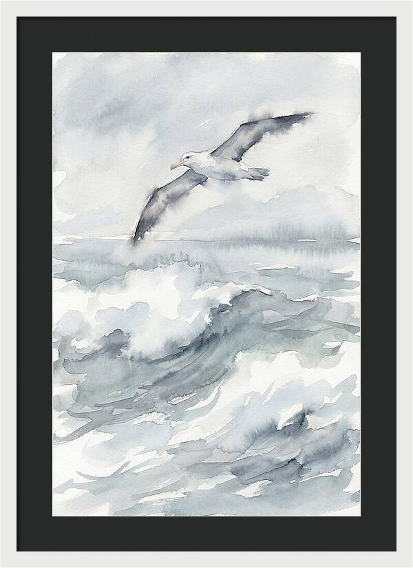 Albatross Soaring Over Waves