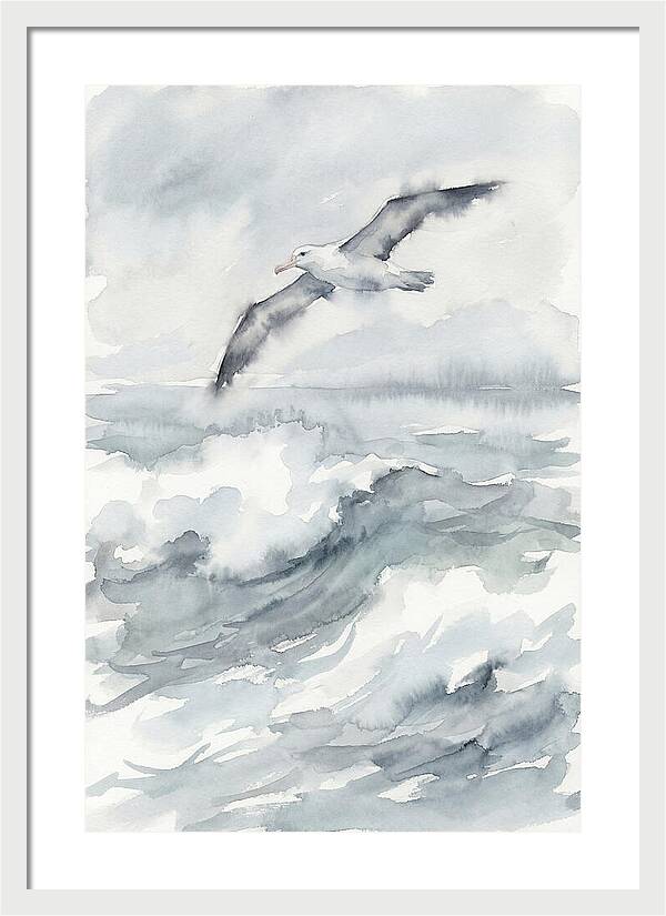 Albatross Soaring Over Waves