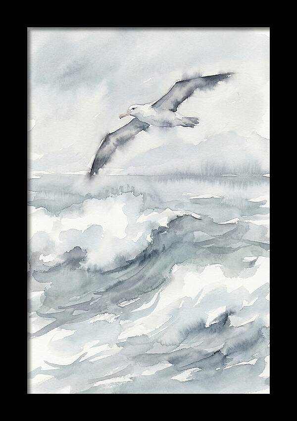 Albatross Soaring Over Waves