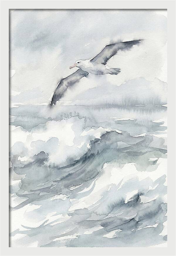 Albatross Soaring Over Waves