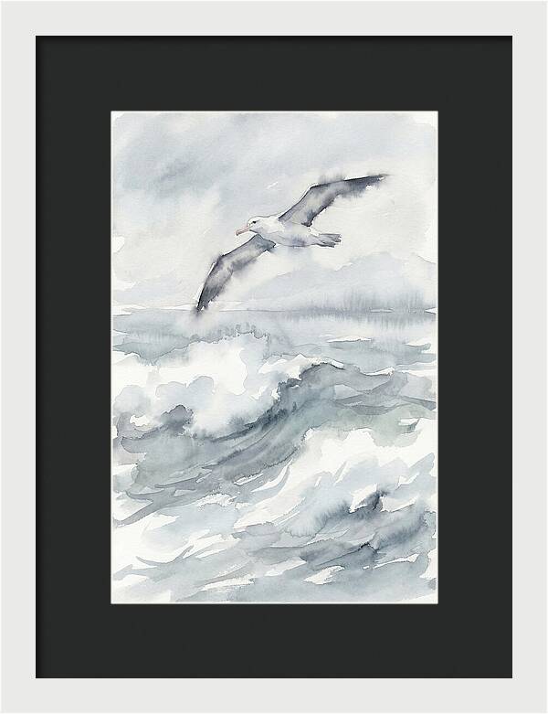 Albatross Soaring Over Waves