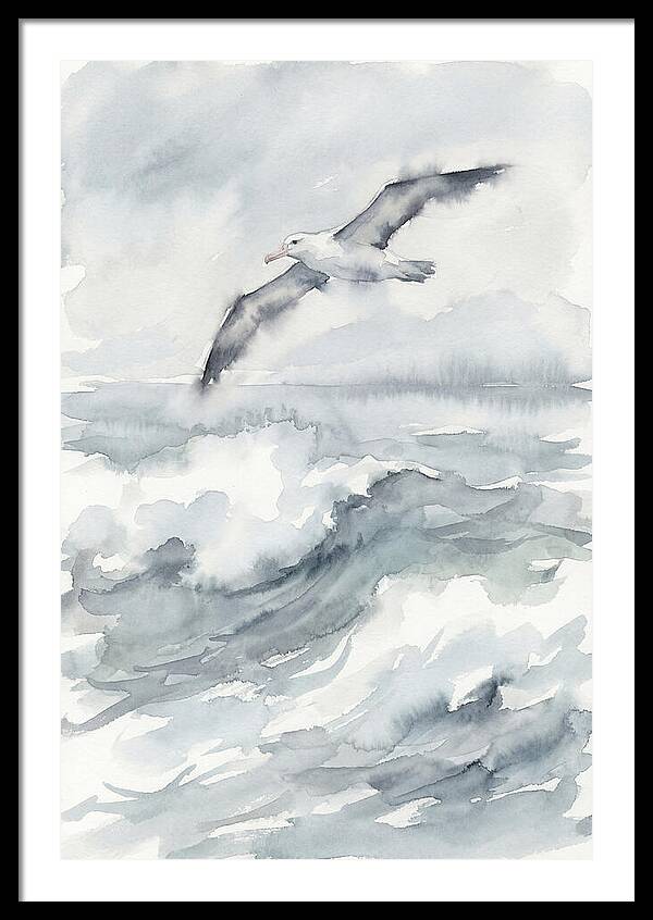 Albatross Soaring Over Waves