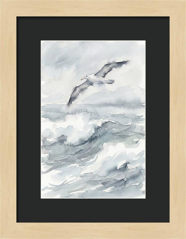 Albatross Soaring Over Waves