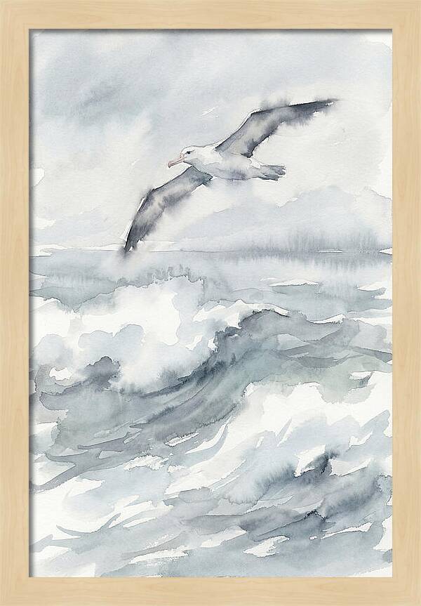 Albatross Soaring Over Waves
