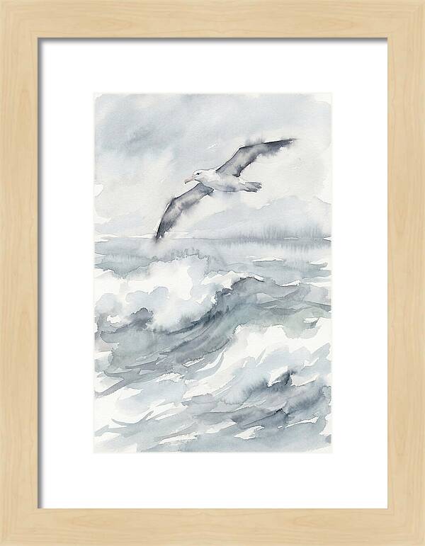 Albatross Soaring Over Waves