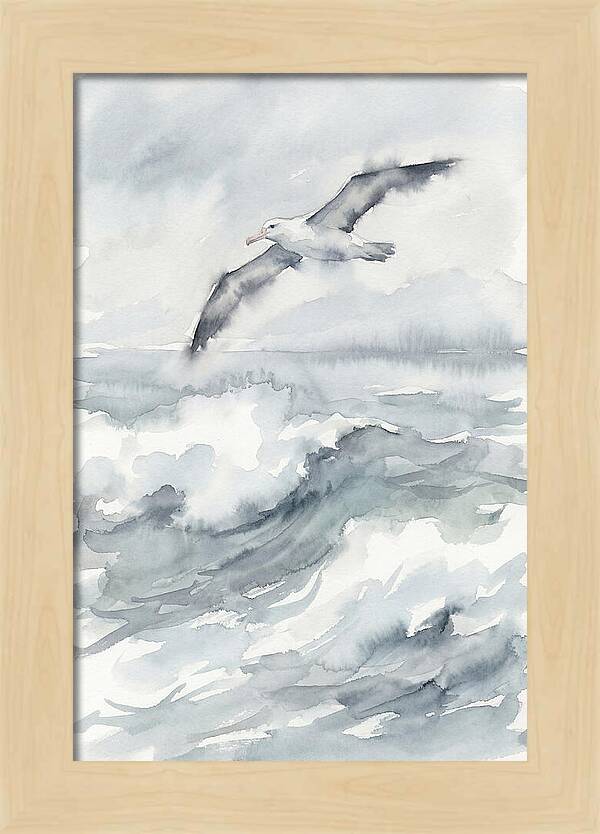 Albatross Soaring Over Waves