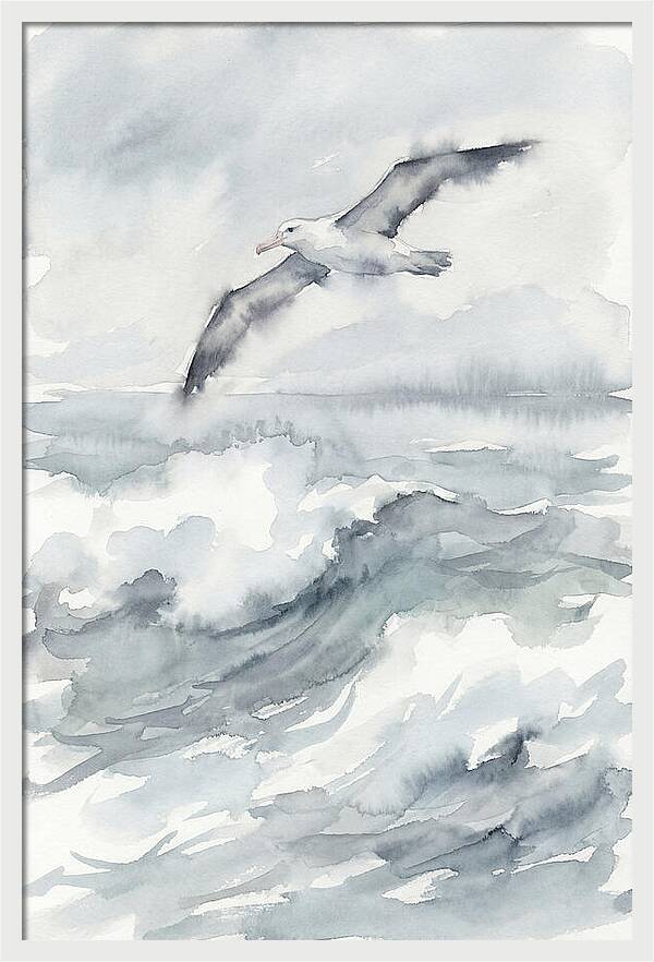 Albatross Soaring Over Waves