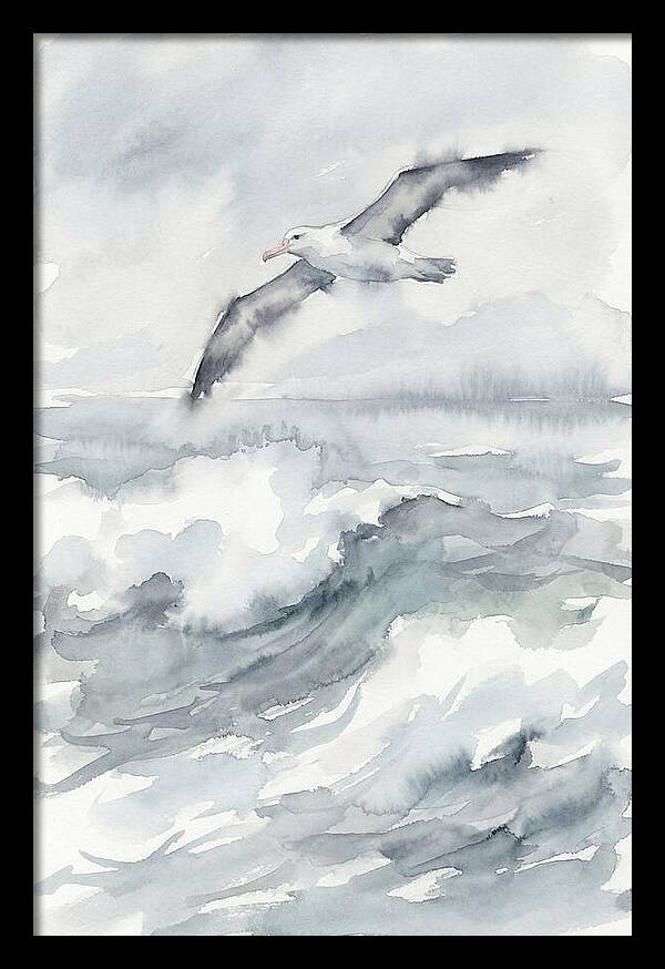 Albatross Soaring Over Waves
