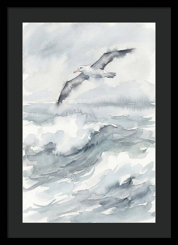 Albatross Soaring Over Waves