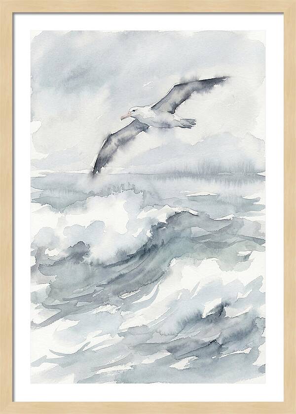 Albatross Soaring Over Waves