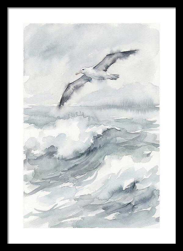 Albatross Soaring Over Waves