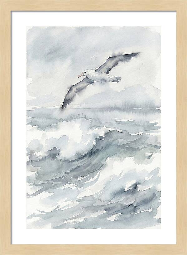 Albatross Soaring Over Waves