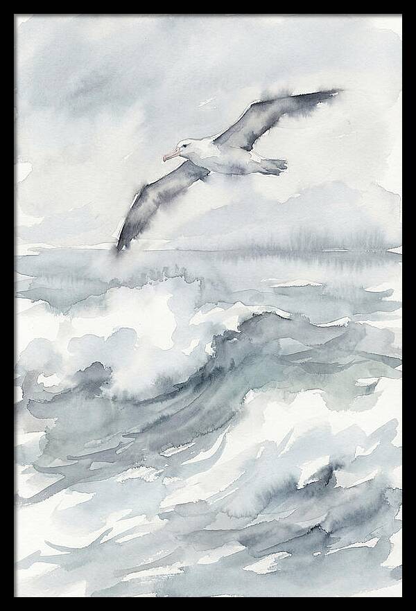 Albatross Soaring Over Waves