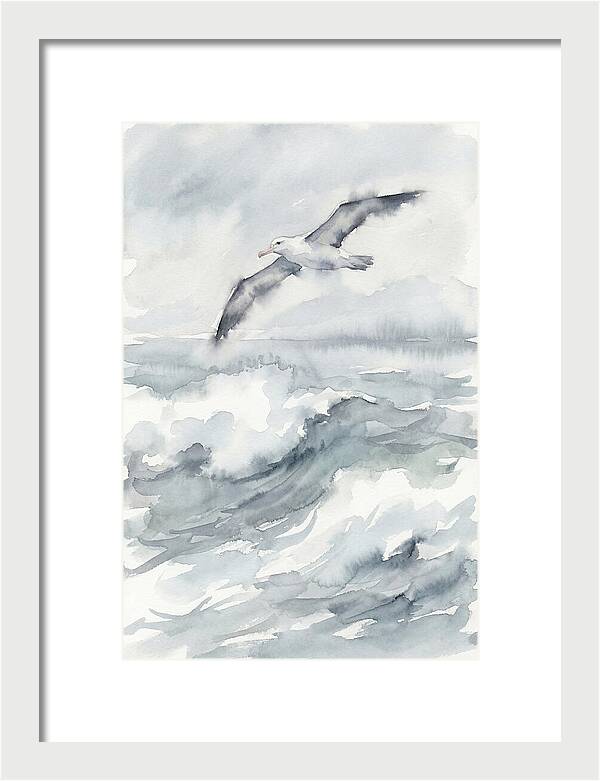 Albatross Soaring Over Waves