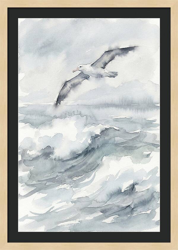 Albatross Soaring Over Waves