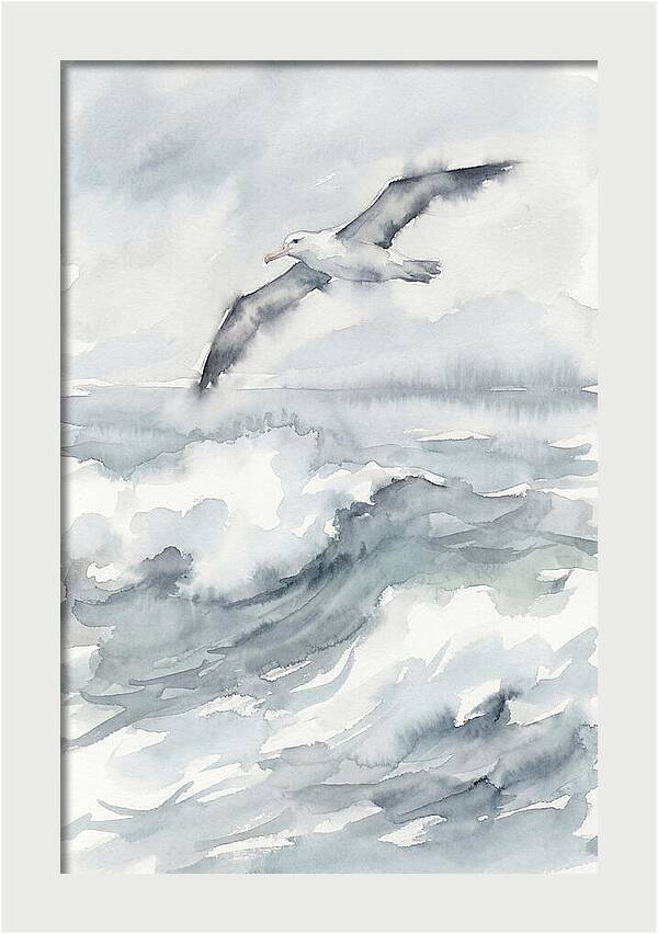 Albatross Soaring Over Waves