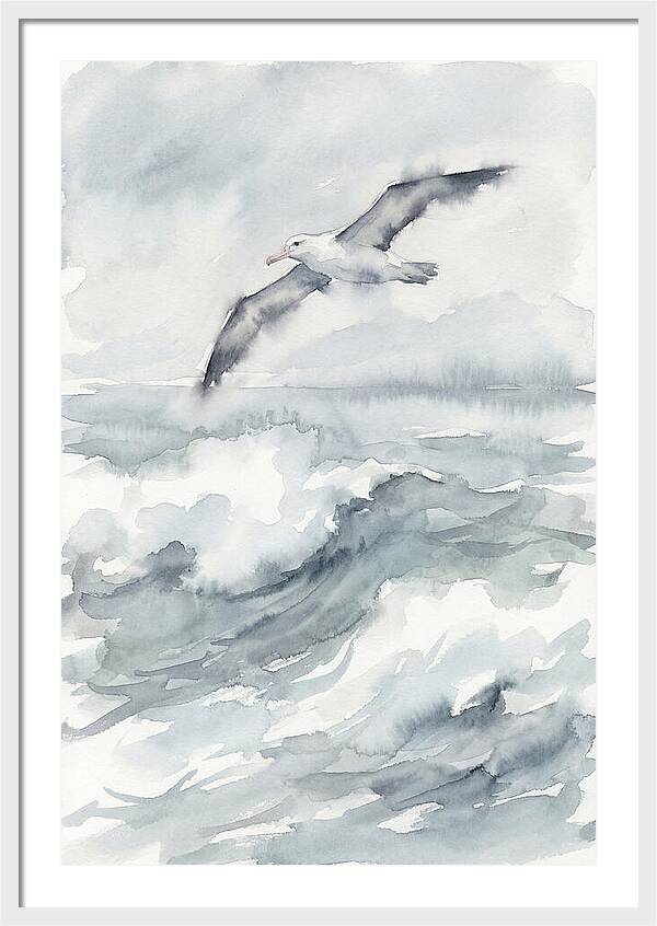 Albatross Soaring Over Waves