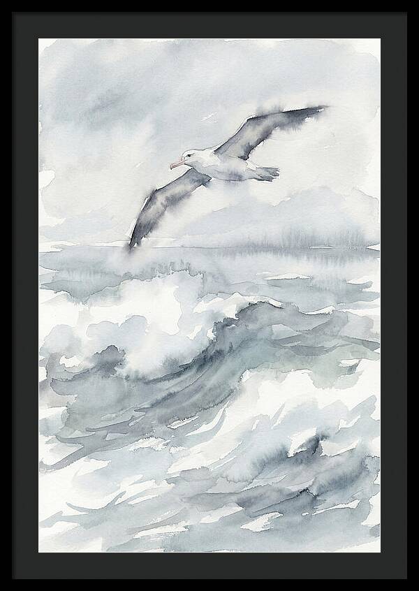 Albatross Soaring Over Waves