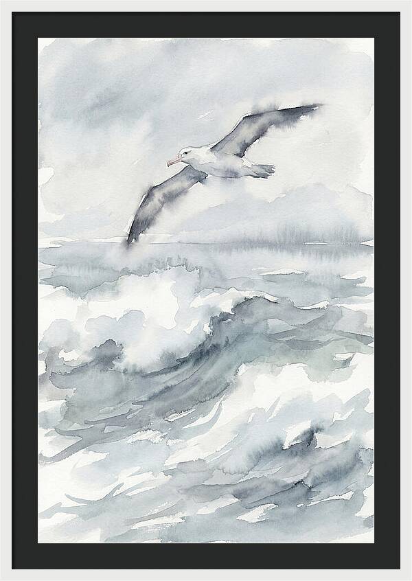Albatross Soaring Over Waves