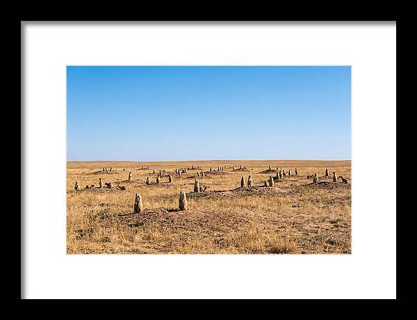 Alert Prairie Dog Gathering