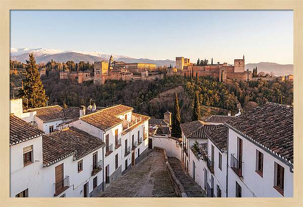 Alhambra And Sierra Nevada View