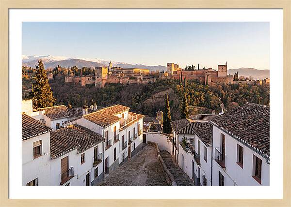 Alhambra And Sierra Nevada View
