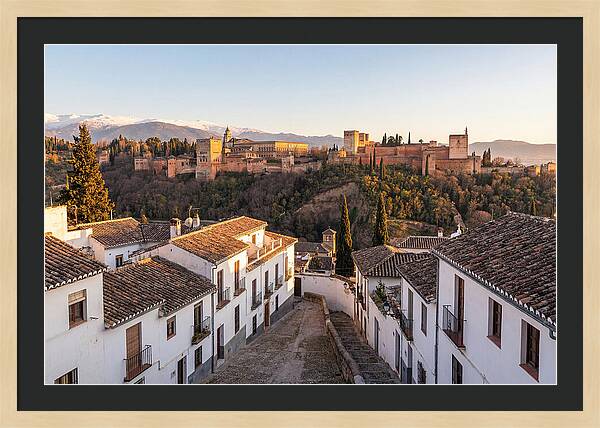 Alhambra And Sierra Nevada View