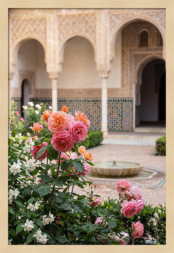 Alhambra Courtyard Serenity