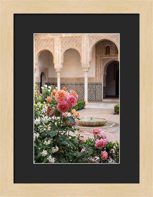 Alhambra Courtyard Serenity