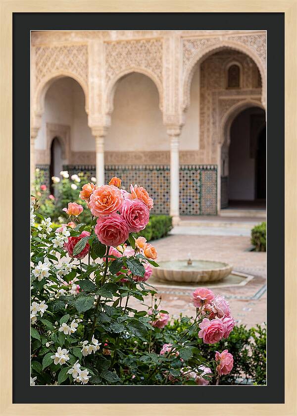 Alhambra Courtyard Serenity