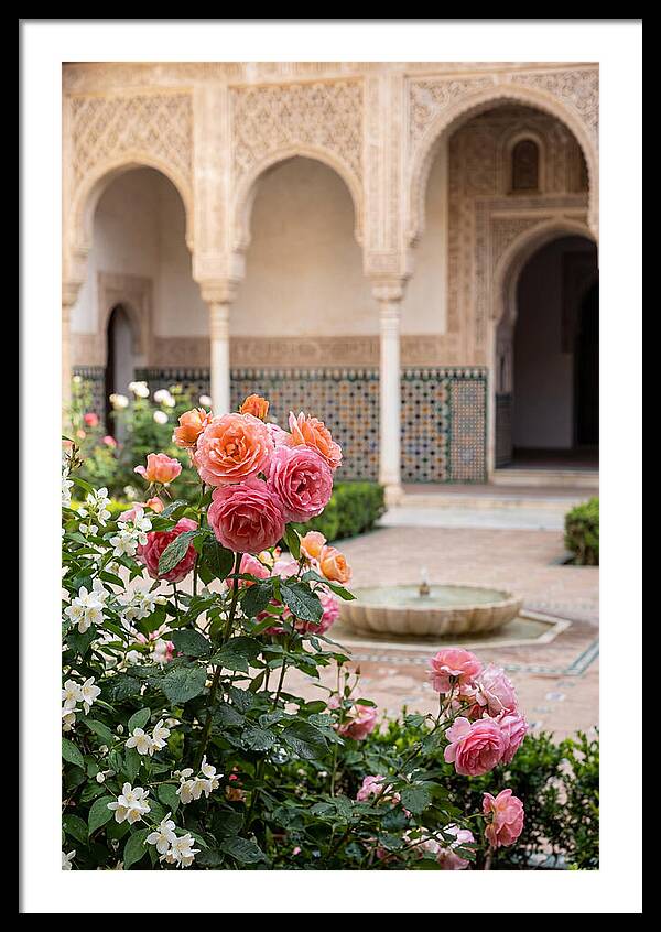 Alhambra Courtyard Serenity