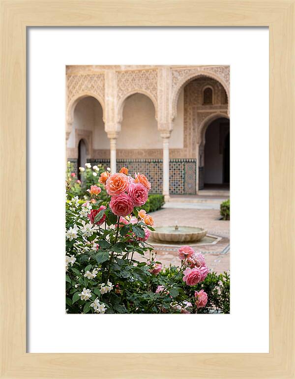 Alhambra Courtyard Serenity