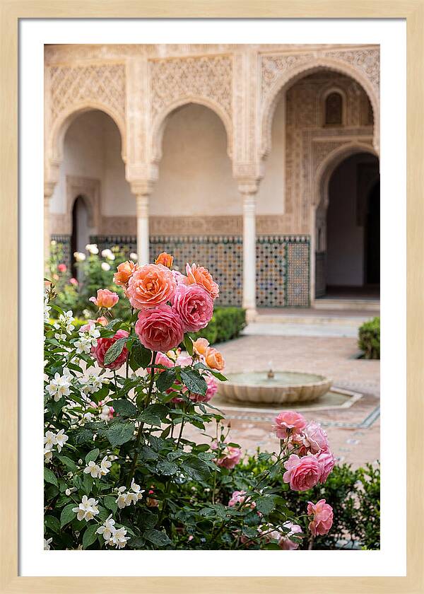 Alhambra Courtyard Serenity