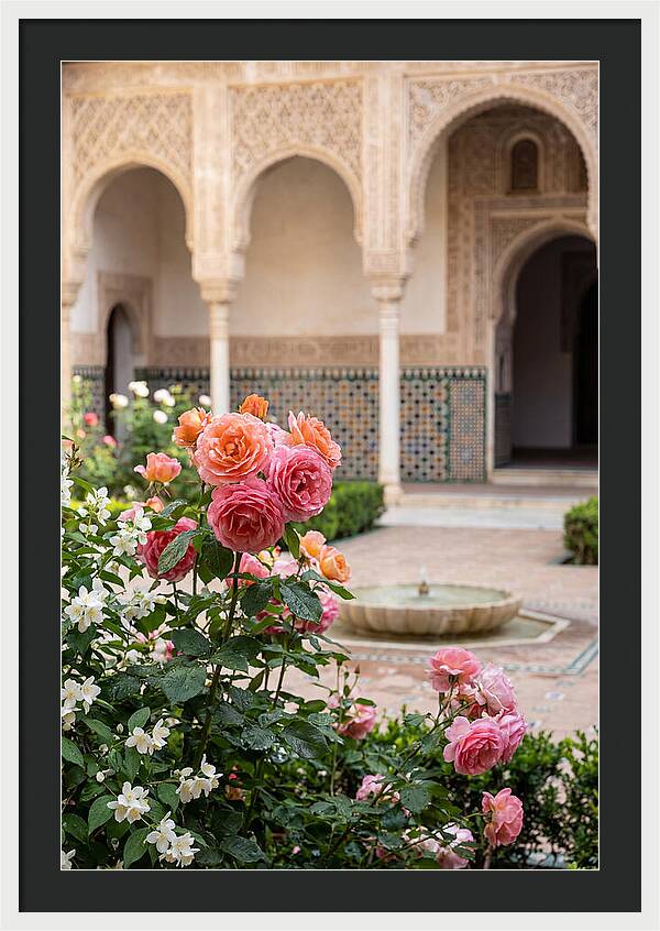 Alhambra Courtyard Serenity