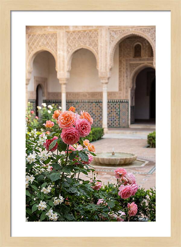 Alhambra Courtyard Serenity