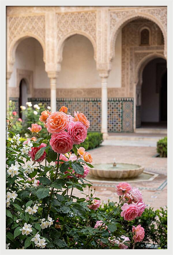 Alhambra Courtyard Serenity