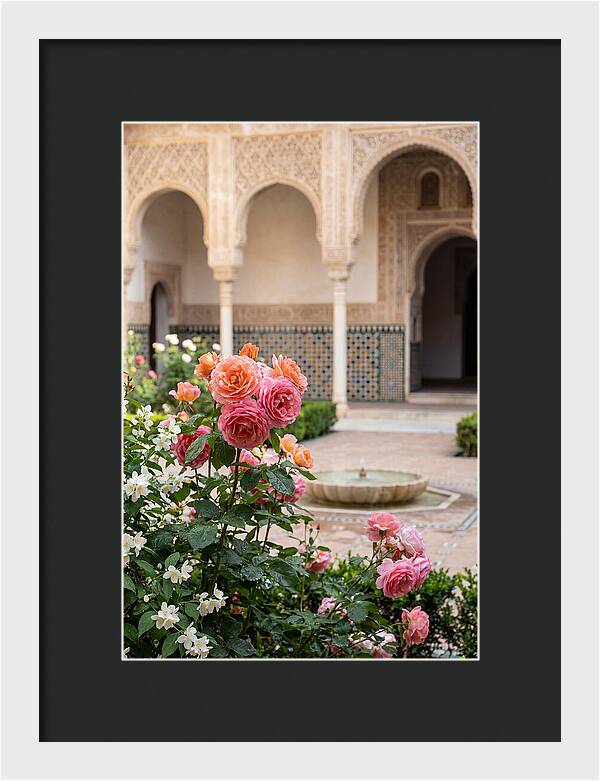 Alhambra Courtyard Serenity