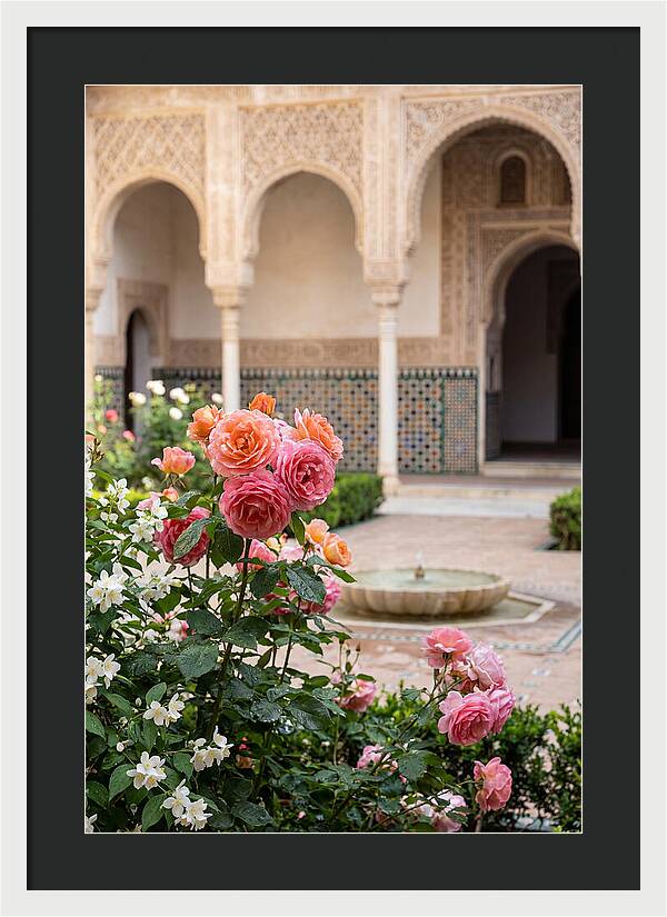 Alhambra Courtyard Serenity