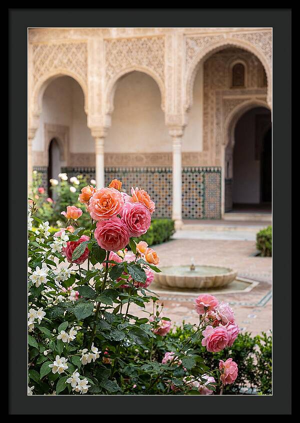 Alhambra Courtyard Serenity