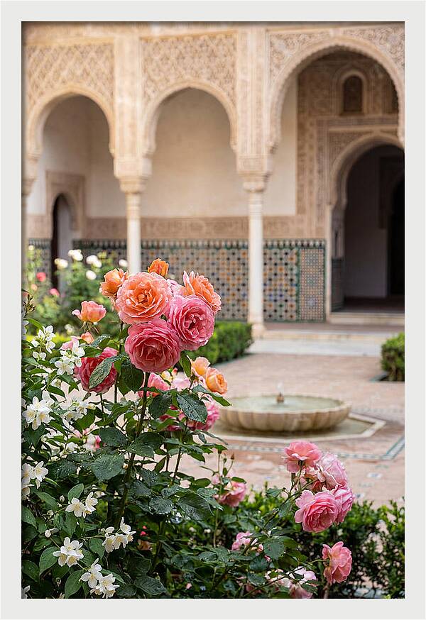 Alhambra Courtyard Serenity