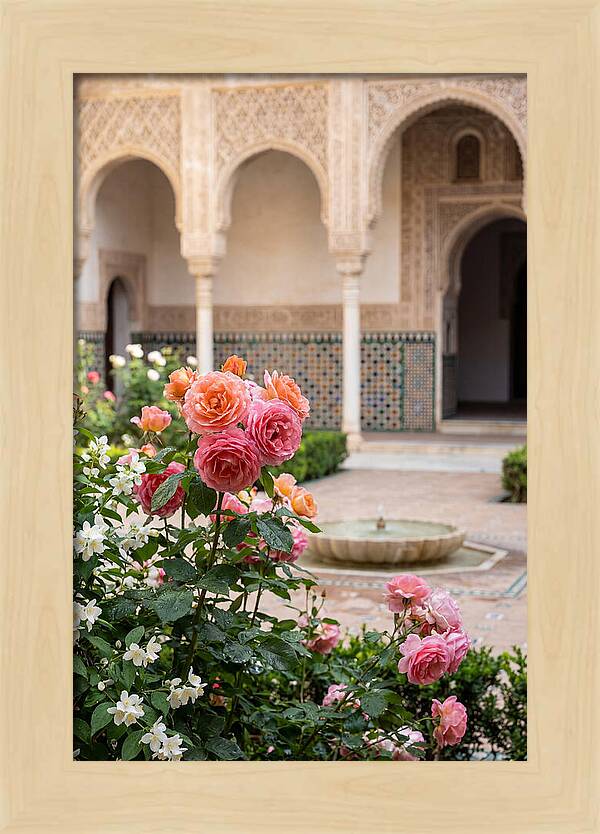 Alhambra Courtyard Serenity
