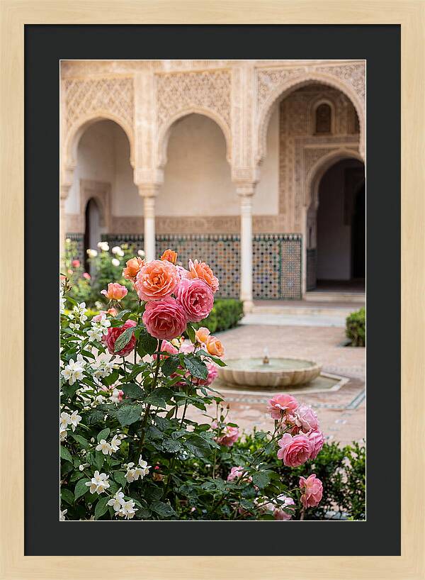 Alhambra Courtyard Serenity
