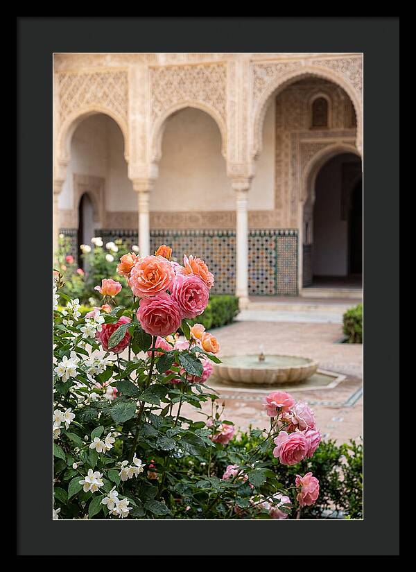 Alhambra Courtyard Serenity
