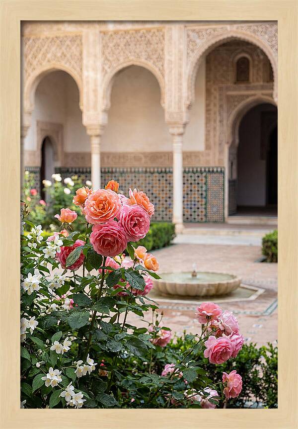 Alhambra Courtyard Serenity