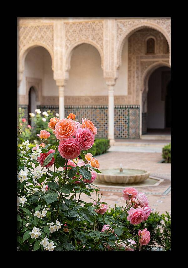 Alhambra Courtyard Serenity