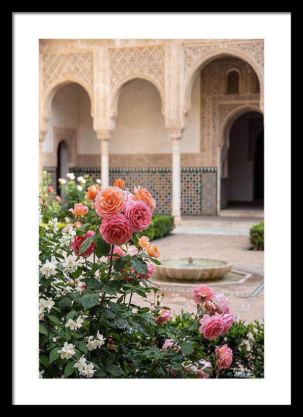 Alhambra Courtyard Serenity
