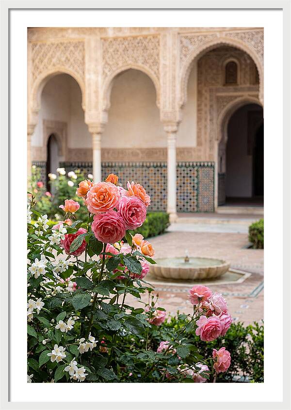 Alhambra Courtyard Serenity