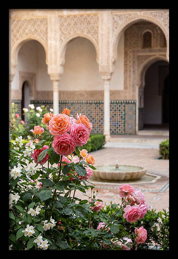 Alhambra Courtyard Serenity