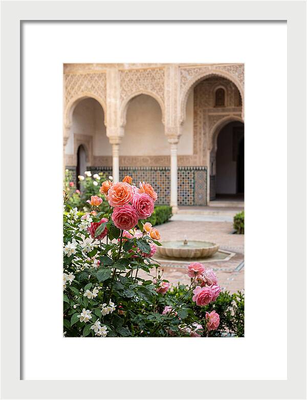 Alhambra Courtyard Serenity