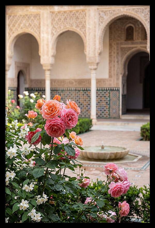 Alhambra Courtyard Serenity